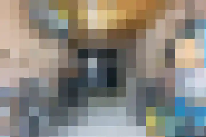 Jacob van Oostzanenstraat 5 Heemskerk thumbnail 42