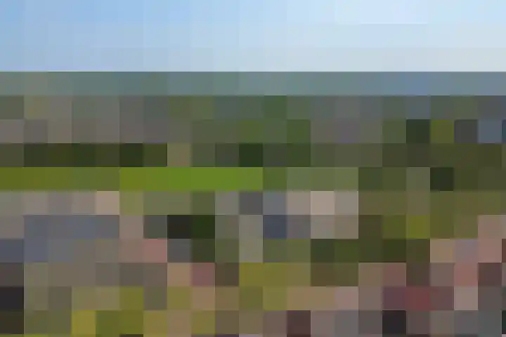 Jacob van Oostzanenstraat 5 Heemskerk thumbnail 47