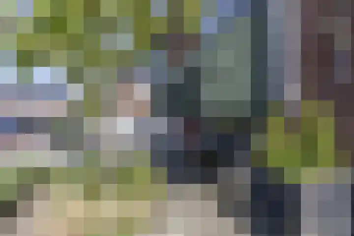 Jacob van Oostzanenstraat 5 Heemskerk thumbnail 5