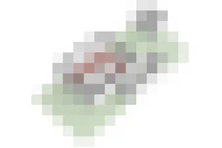 Jacob van Oostzanenstraat 5 Heemskerk thumbnail 57