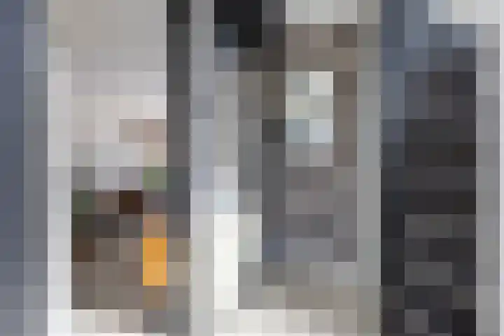 Jacob van Oostzanenstraat 5 Heemskerk thumbnail 7