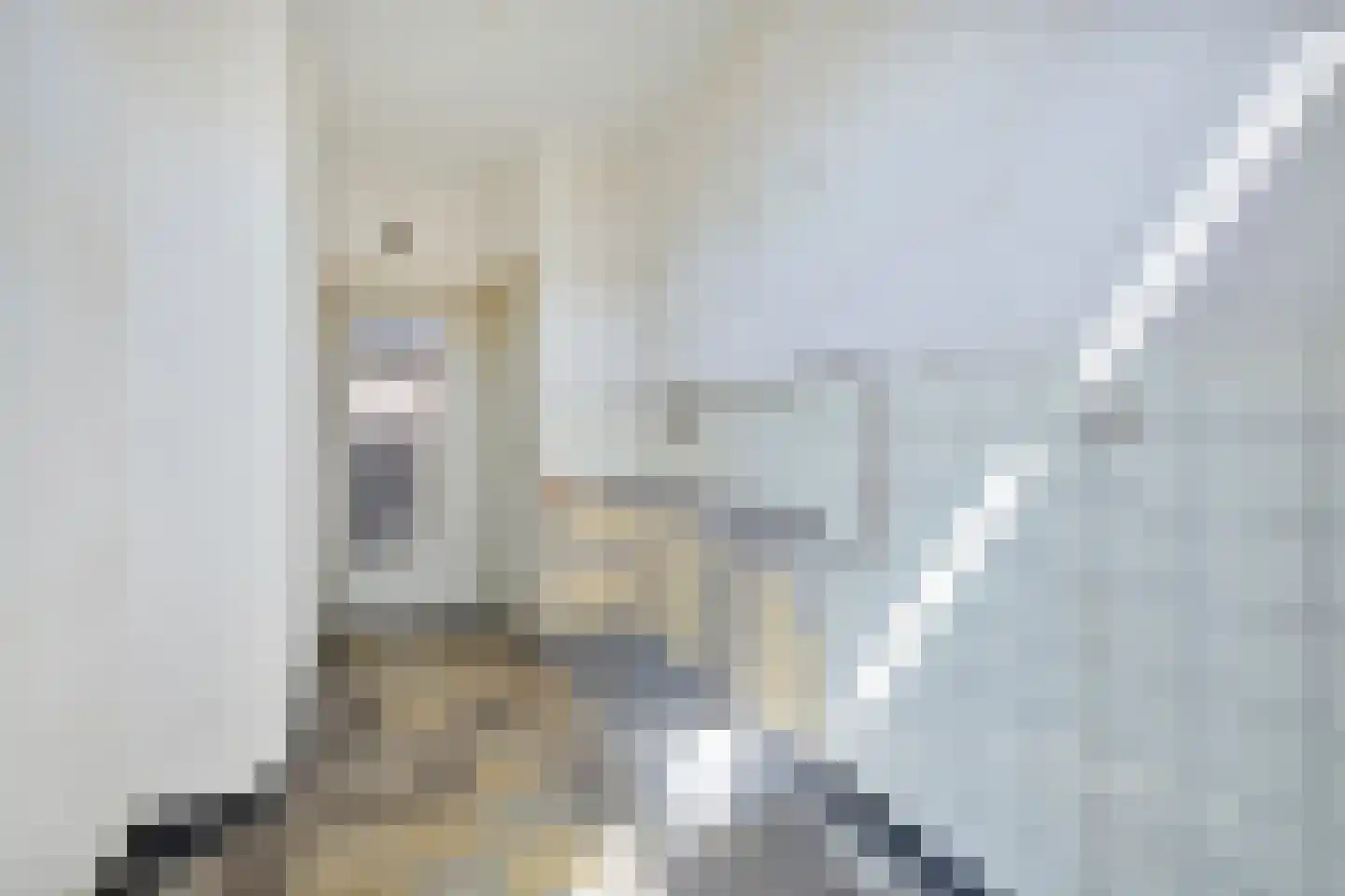 Jacob van Oudenhovenstraat 19 's-Hertogenbosch thumbnail 7