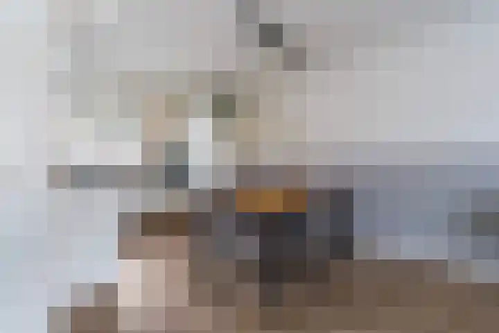 Jacob van Oudenhovenstraat 35 Tilburg thumbnail 15
