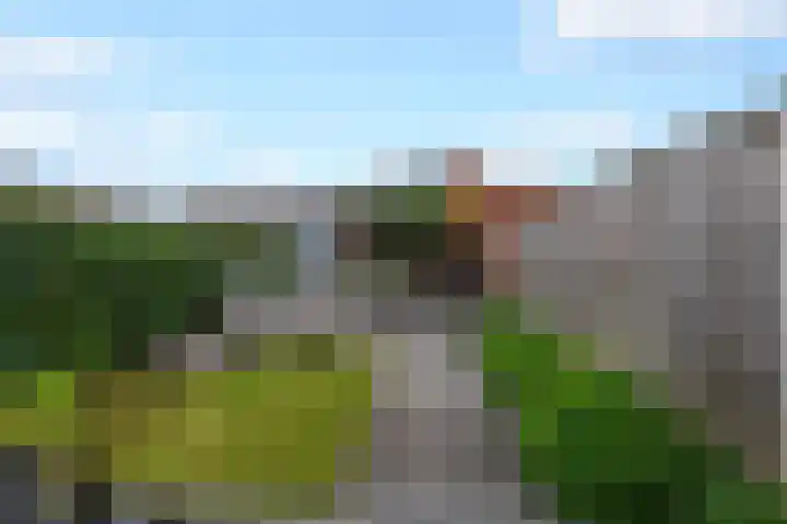 Jacob van Oudenhovenstraat 35 Tilburg thumbnail 48