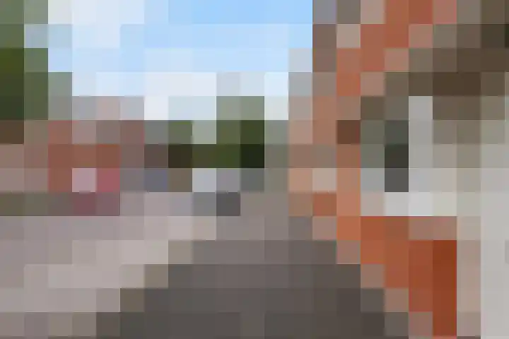Jacob van Oudenhovenstraat 35 Tilburg thumbnail 49