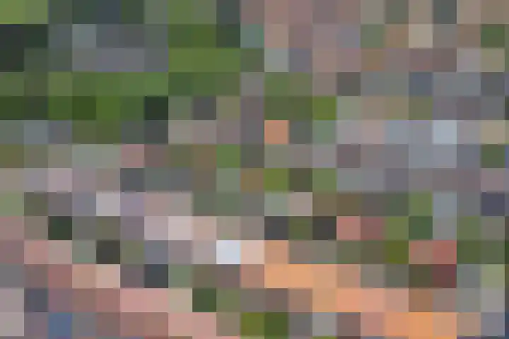 Jacob van Rijsoordstraat 12 Rhoon thumbnail 33