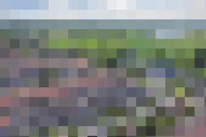Jacob van Rijsoordstraat 12 Rhoon thumbnail 35