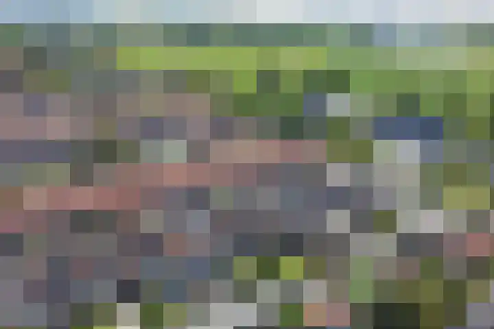 Jacob van Rijsoordstraat 12 Rhoon thumbnail 36