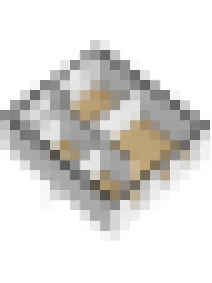 Jacob van Rijsoordstraat 12 Rhoon thumbnail 42