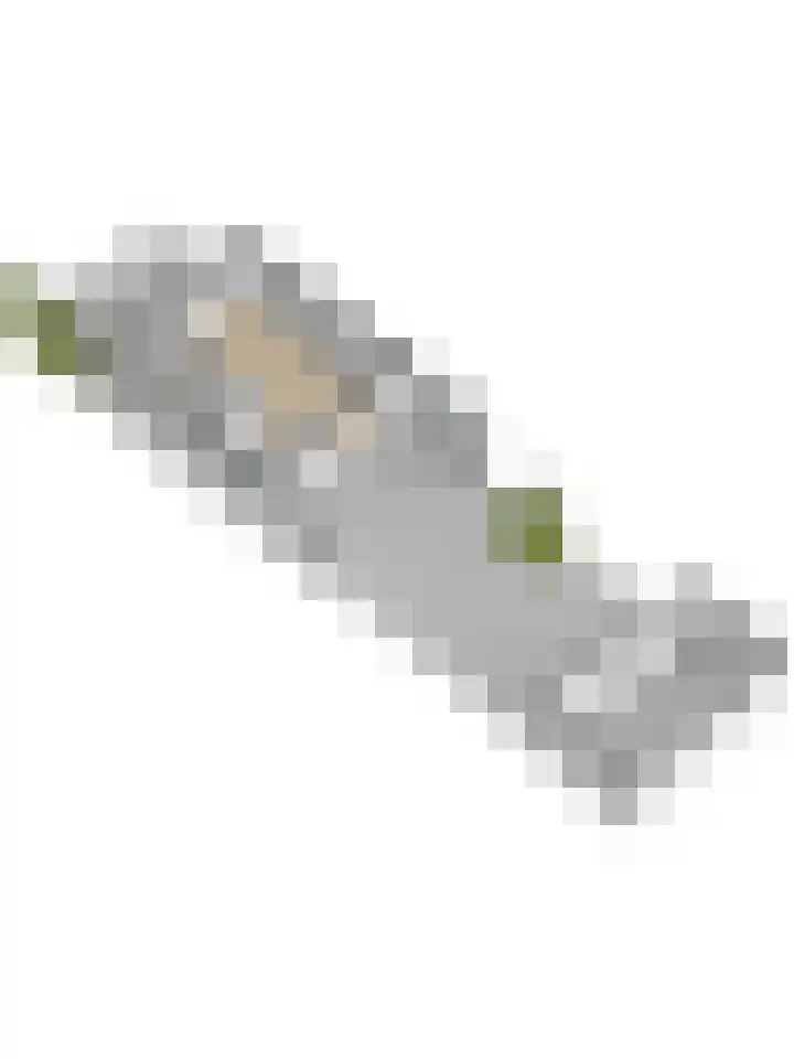 Jacob van Rijsoordstraat 12 Rhoon thumbnail 45