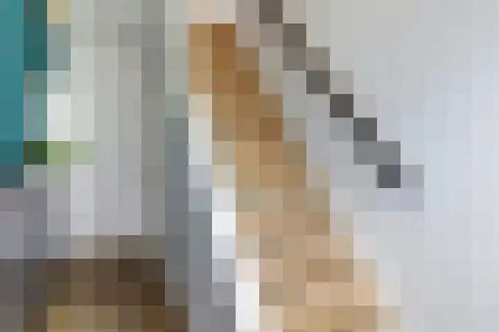 Jacob van Rijsoordstraat 12 Rhoon thumbnail 7