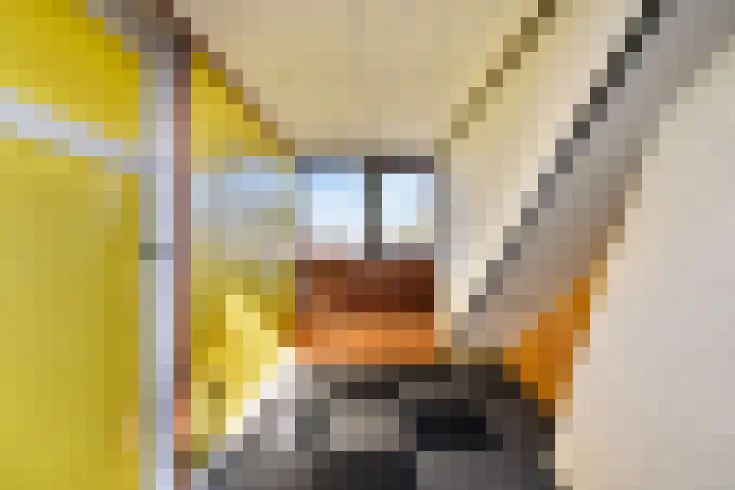 Jacob van Rijsoordstraat 8 Rhoon thumbnail 23