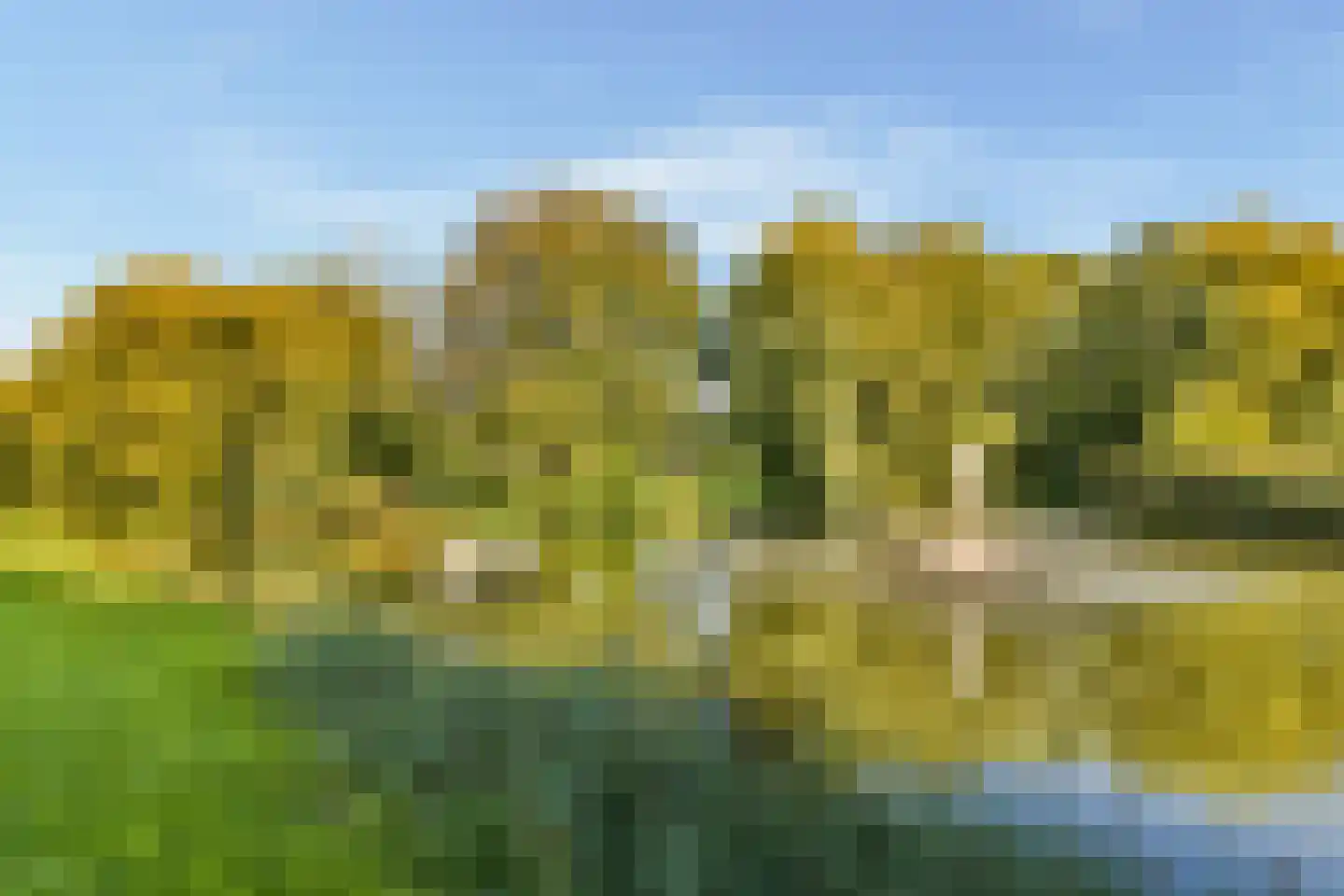 Jacob van Rijsoordstraat 8 Rhoon thumbnail 26