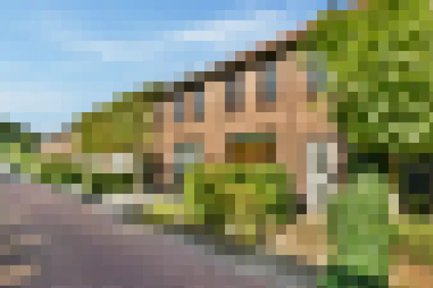 Jacob van Rijsoordstraat 8 Rhoon thumbnail 5