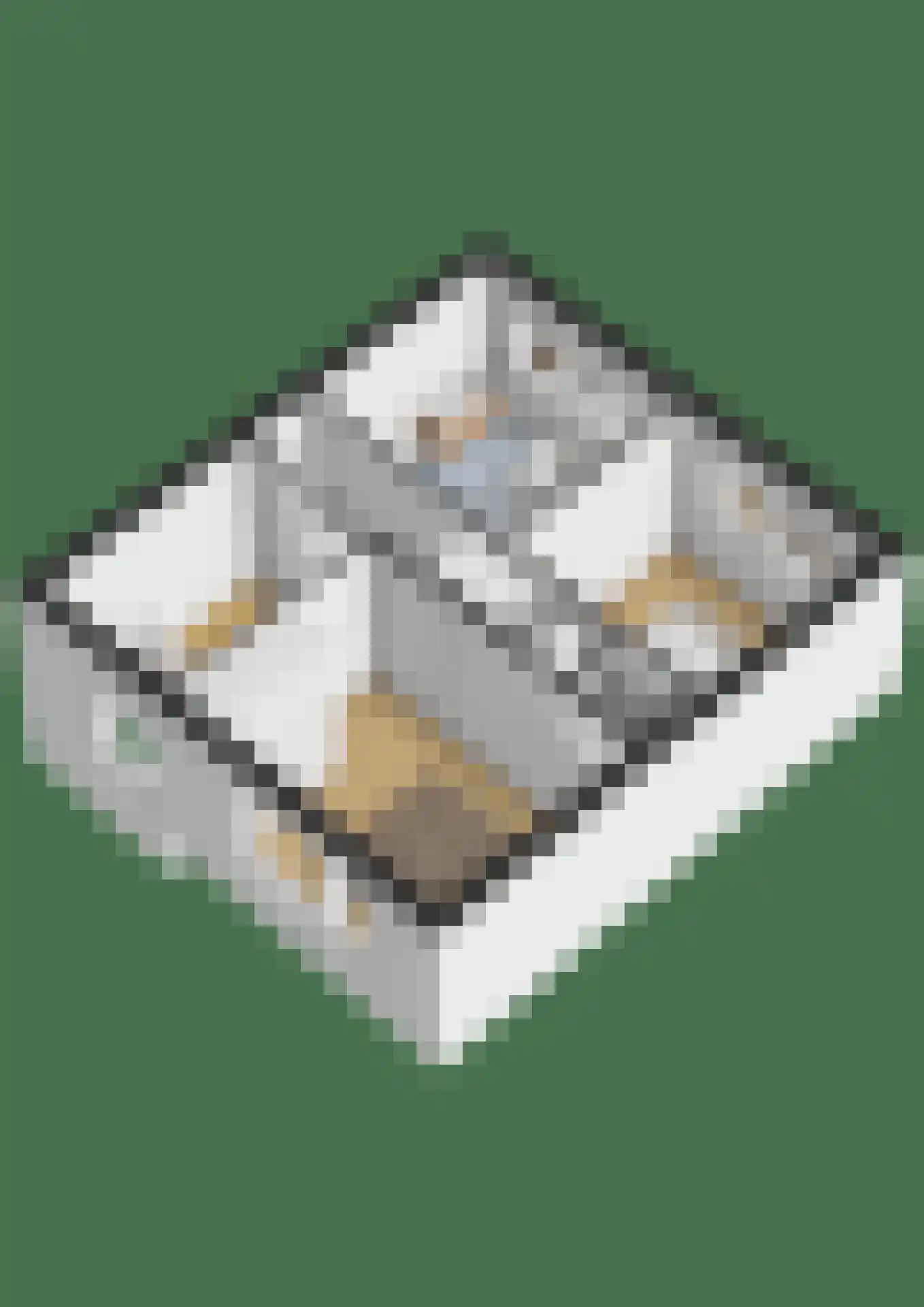 Jacob van Ruijsdaellaan 15 Vlissingen thumbnail 28