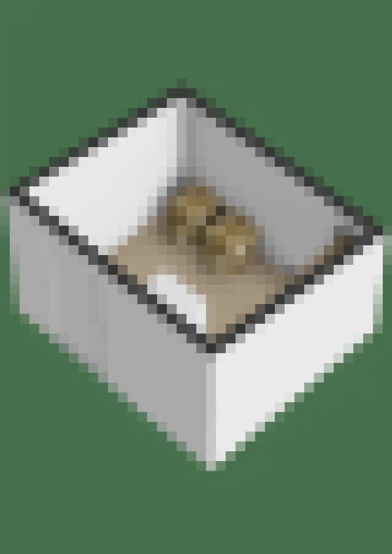 Jacob van Ruijsdaellaan 15 Vlissingen thumbnail 32