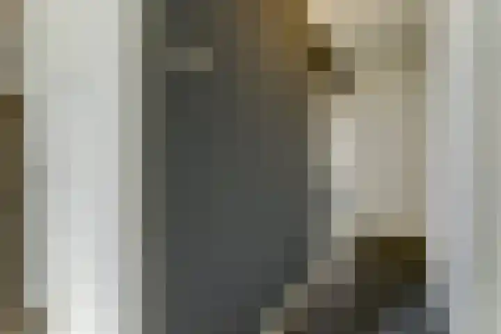 Jacob van Ruijsdaelstraat 13 Vlijmen thumbnail 10