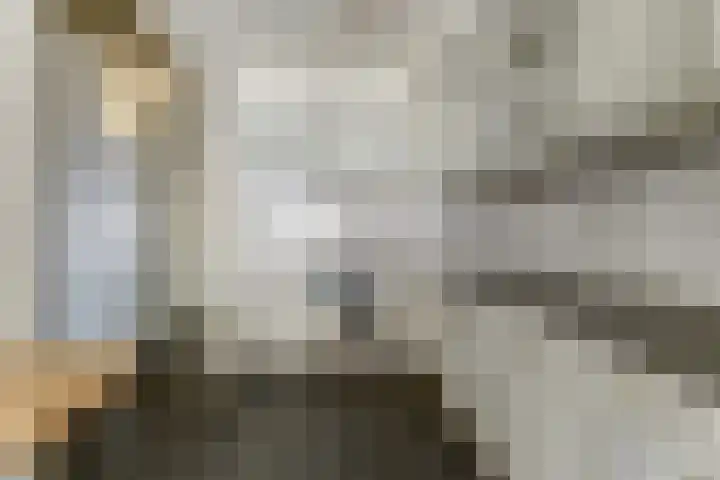 Jacob van Ruijsdaelstraat 13 Vlijmen thumbnail 11