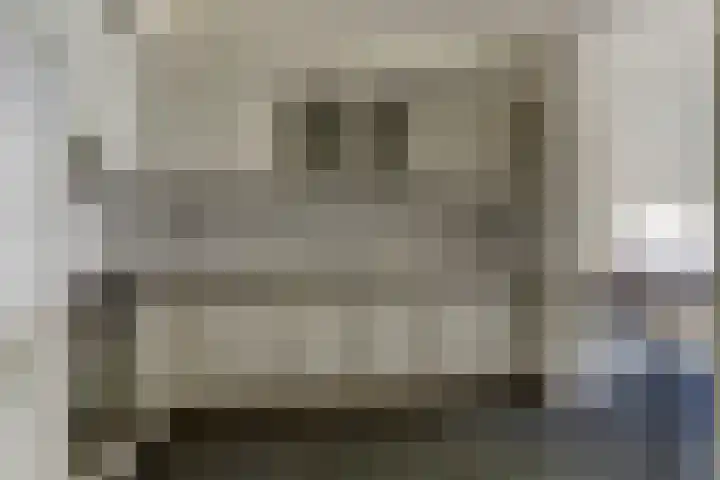 Jacob van Ruijsdaelstraat 13 Vlijmen thumbnail 12