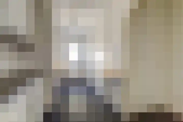 Jacob van Ruijsdaelstraat 13 Vlijmen thumbnail 13