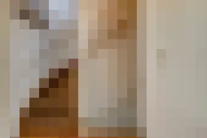Jacob van Ruijsdaelstraat 13 Vlijmen thumbnail 15