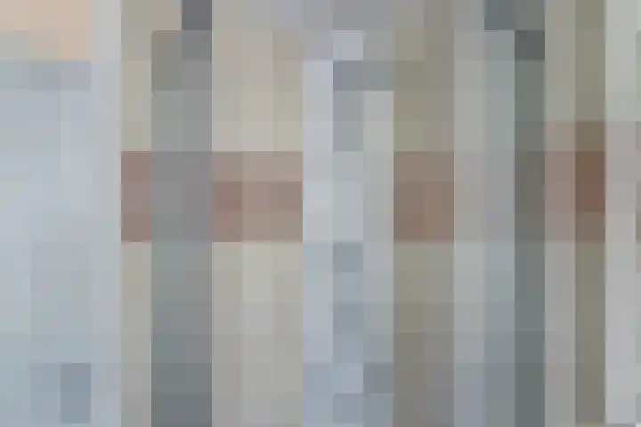 Jacob van Ruijsdaelstraat 13 Vlijmen thumbnail 22