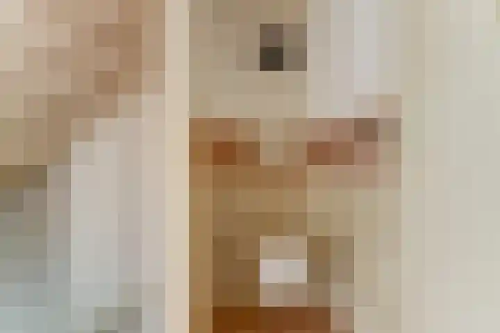 Jacob van Ruijsdaelstraat 13 Vlijmen thumbnail 23
