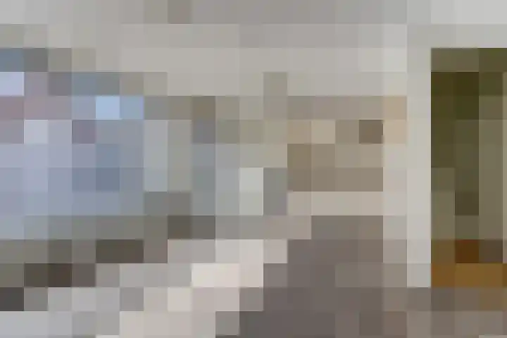 Jacob van Ruijsdaelstraat 13 Vlijmen thumbnail 32