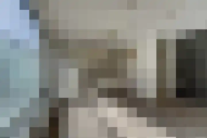 Jacob van Ruijsdaelstraat 13 Vlijmen thumbnail 34