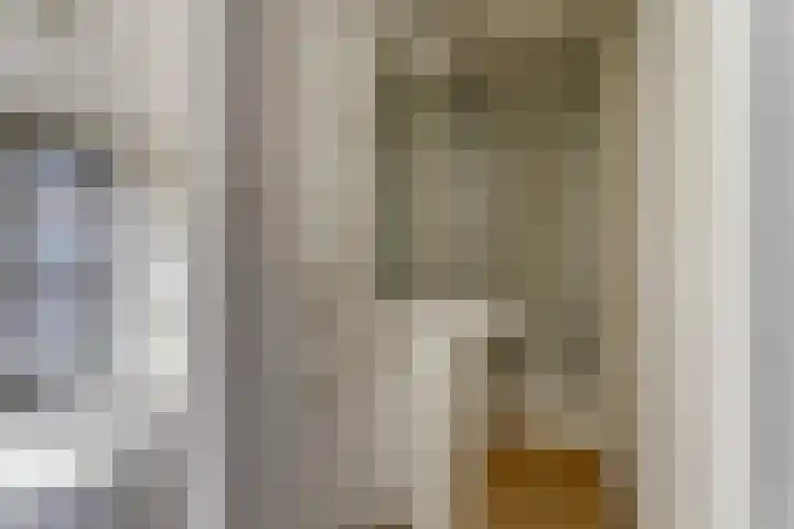 Jacob van Ruijsdaelstraat 13 Vlijmen thumbnail 35