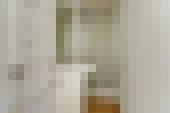 Jacob van Ruijsdaelstraat 13 Vlijmen thumbnail 36