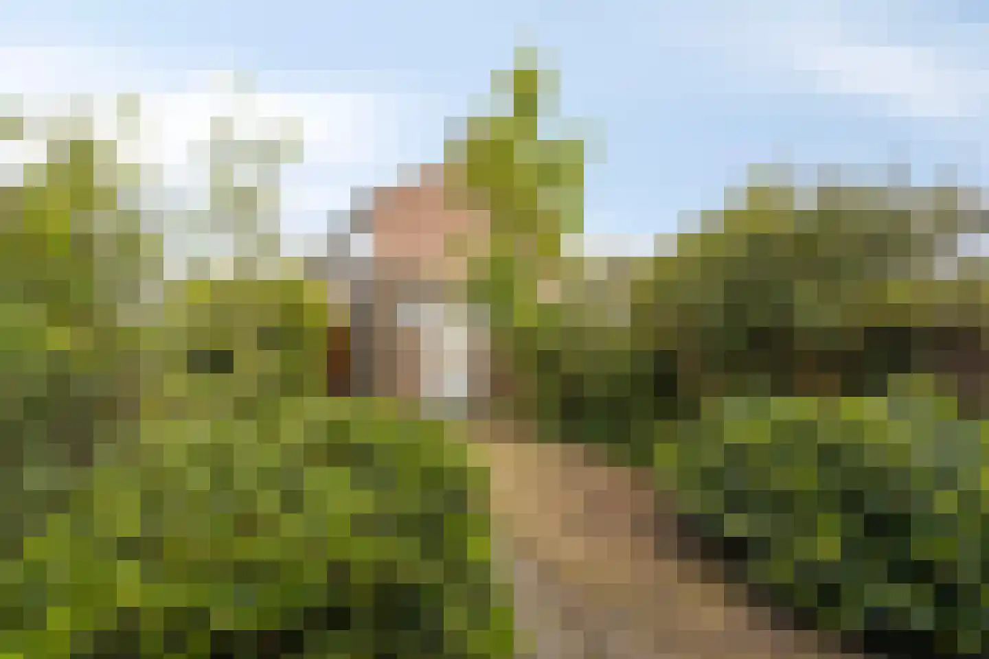 Jacob van Ruijsdaelstraat 16 Roosendaal thumbnail 27