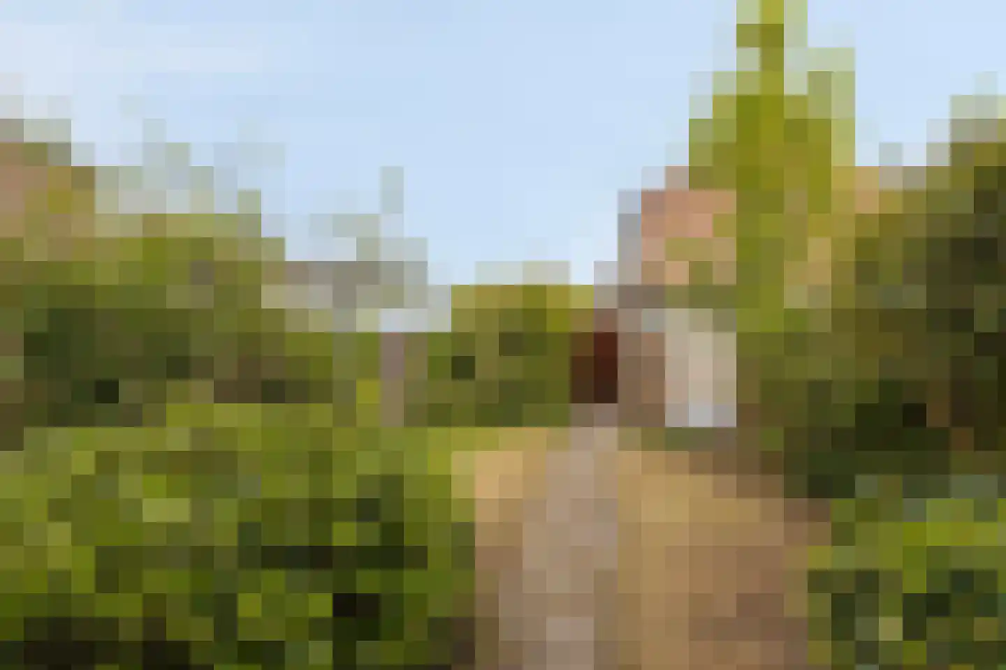 Jacob van Ruijsdaelstraat 16 Roosendaal thumbnail 28