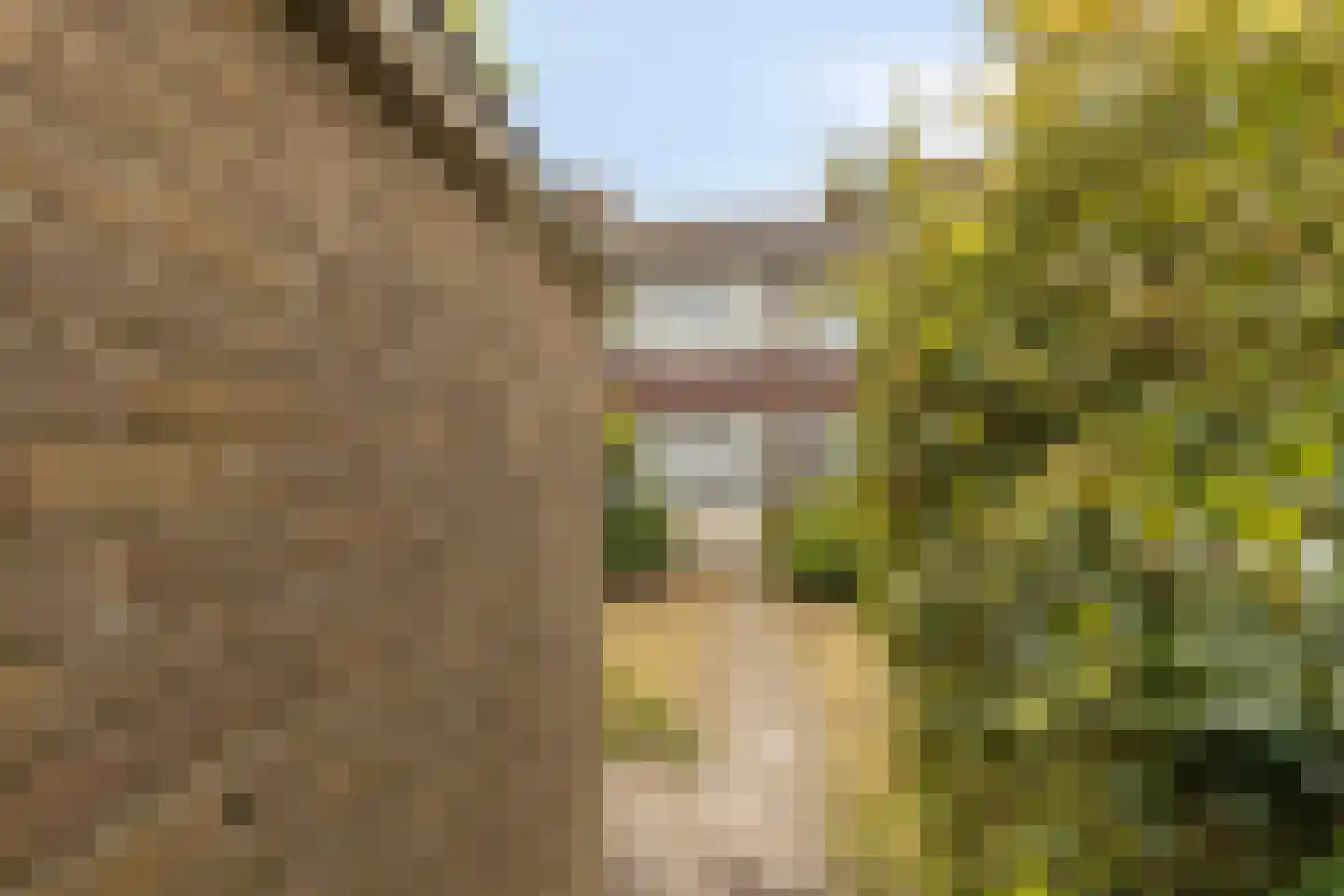 Jacob van Ruijsdaelstraat 16 Roosendaal thumbnail 30