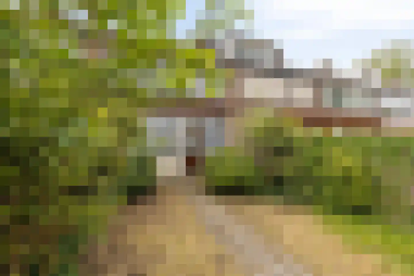 Jacob van Ruijsdaelstraat 16 Roosendaal thumbnail 32