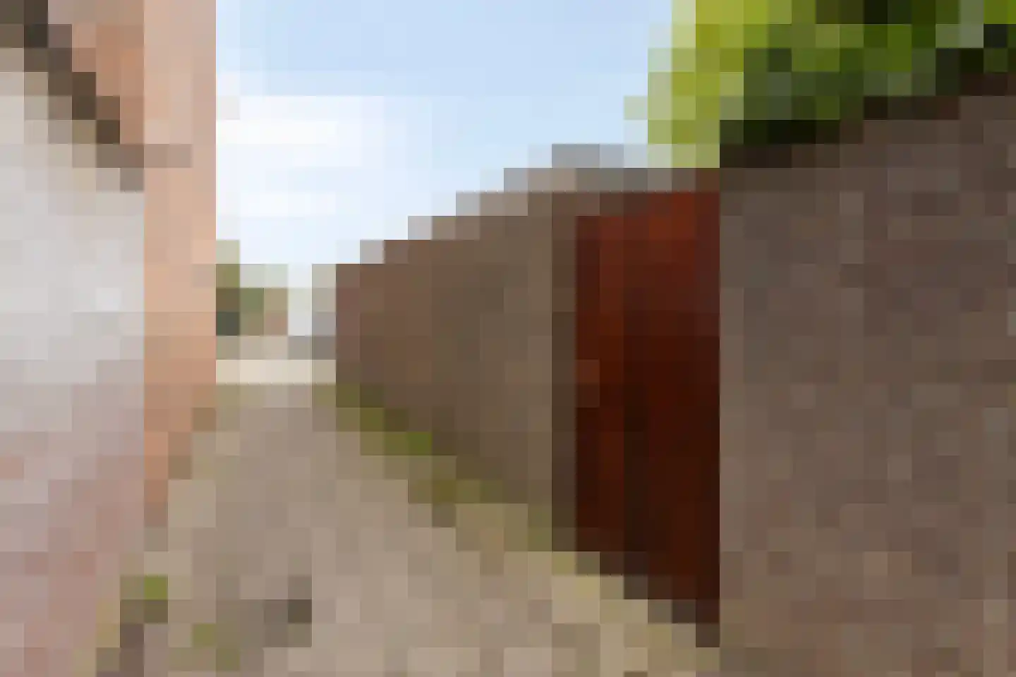 Jacob van Ruijsdaelstraat 16 Roosendaal thumbnail 33