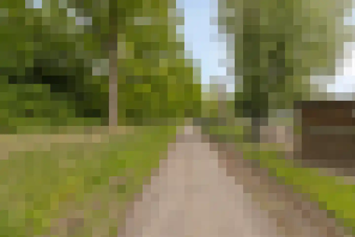 Jacob van Ruijsdaelstraat 16 Roosendaal thumbnail 39