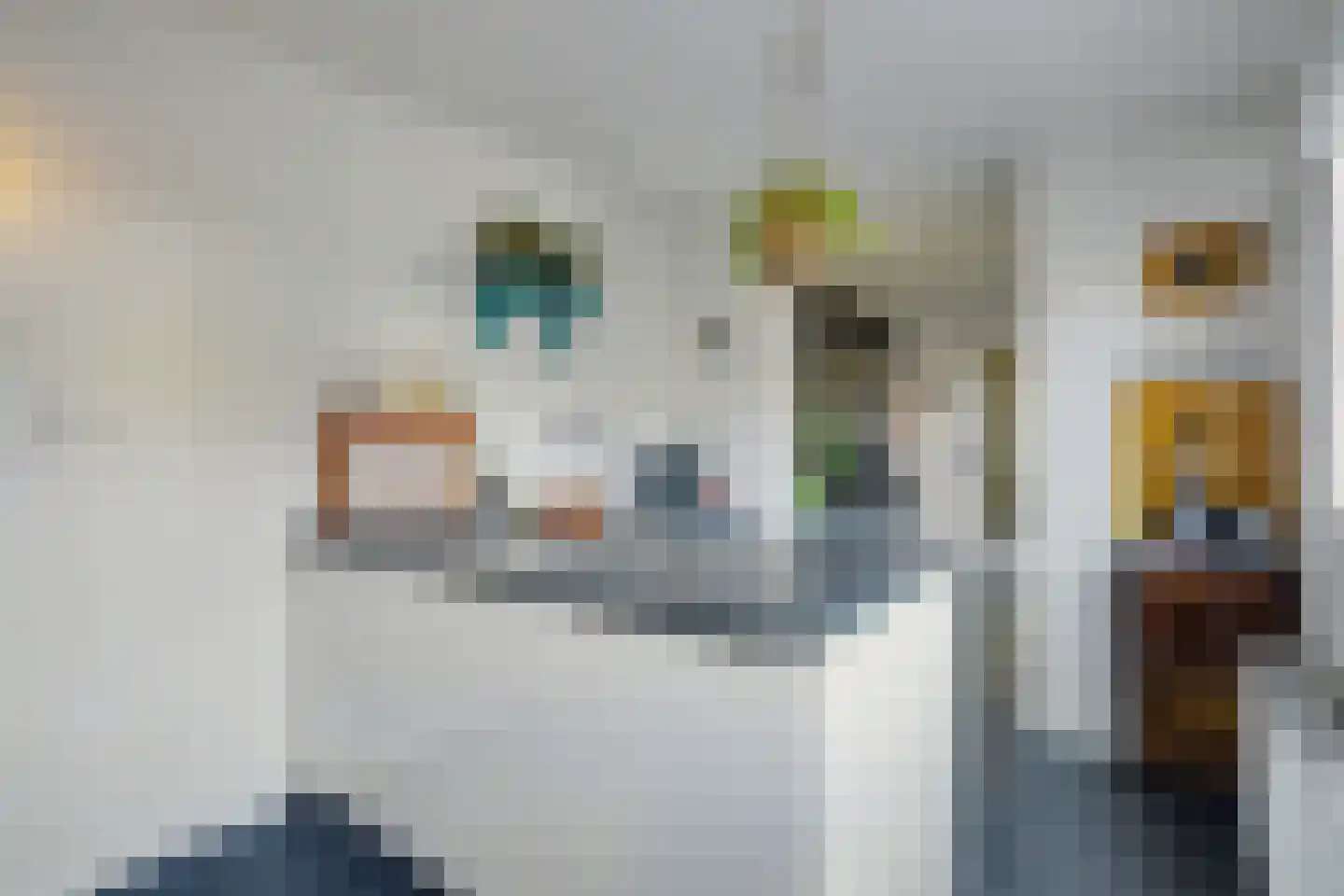 Jacob van Ruijsdaelstraat 3 Vlijmen thumbnail 12
