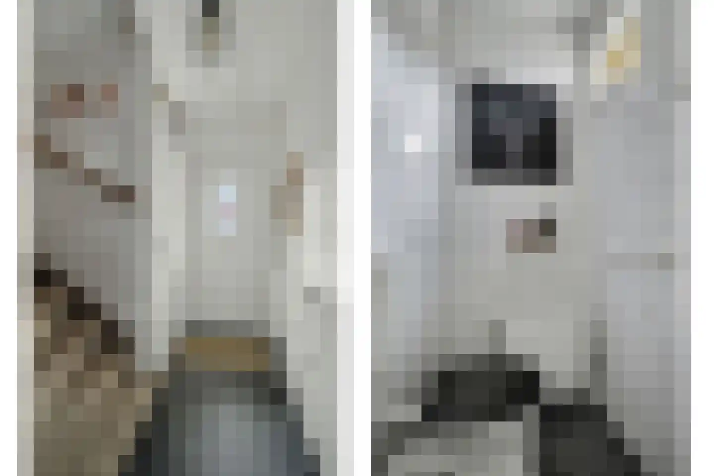 Jacob van Ruijsdaelstraat 3 Vlijmen thumbnail 13