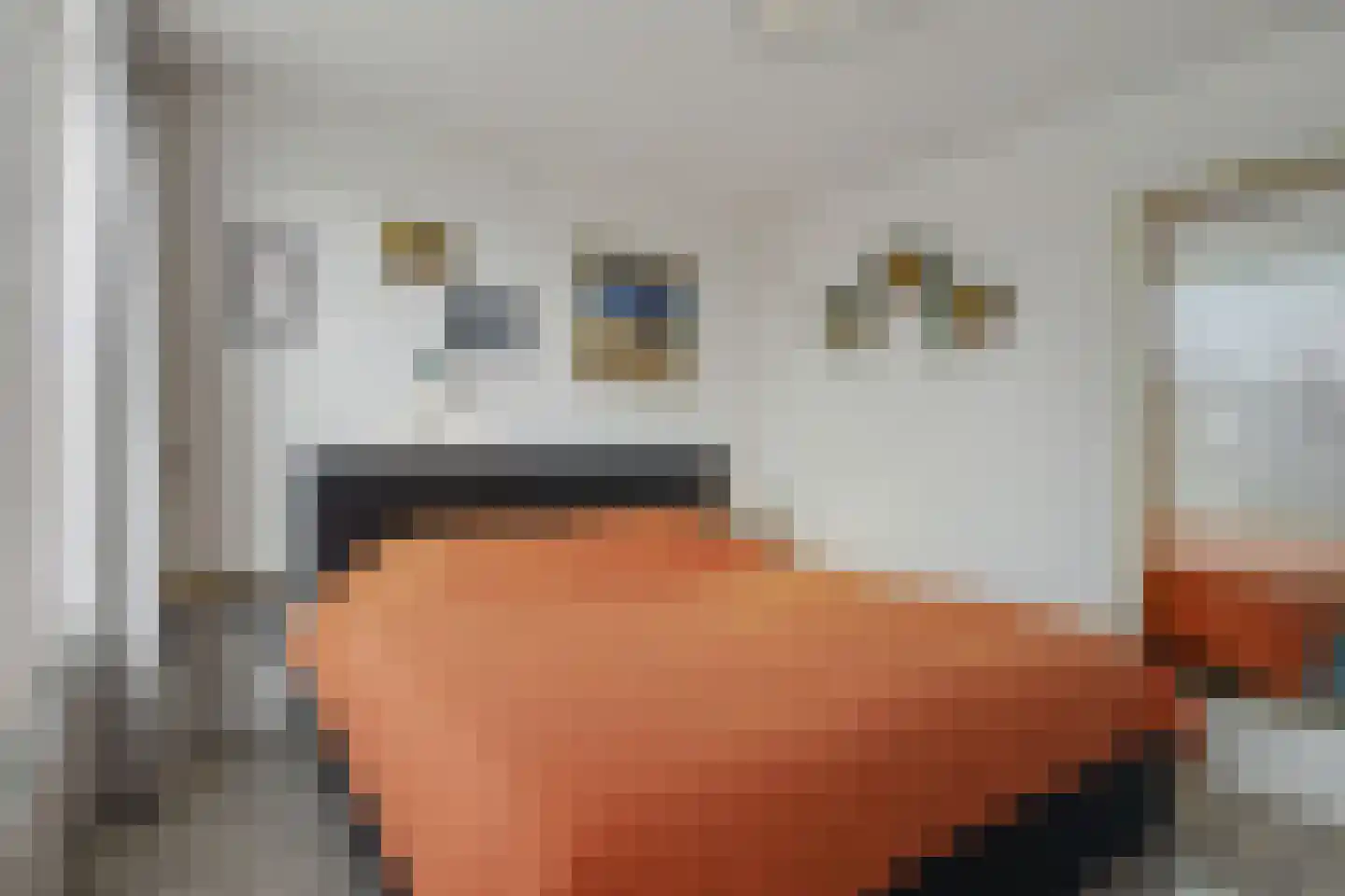 Jacob van Ruijsdaelstraat 3 Vlijmen thumbnail 15