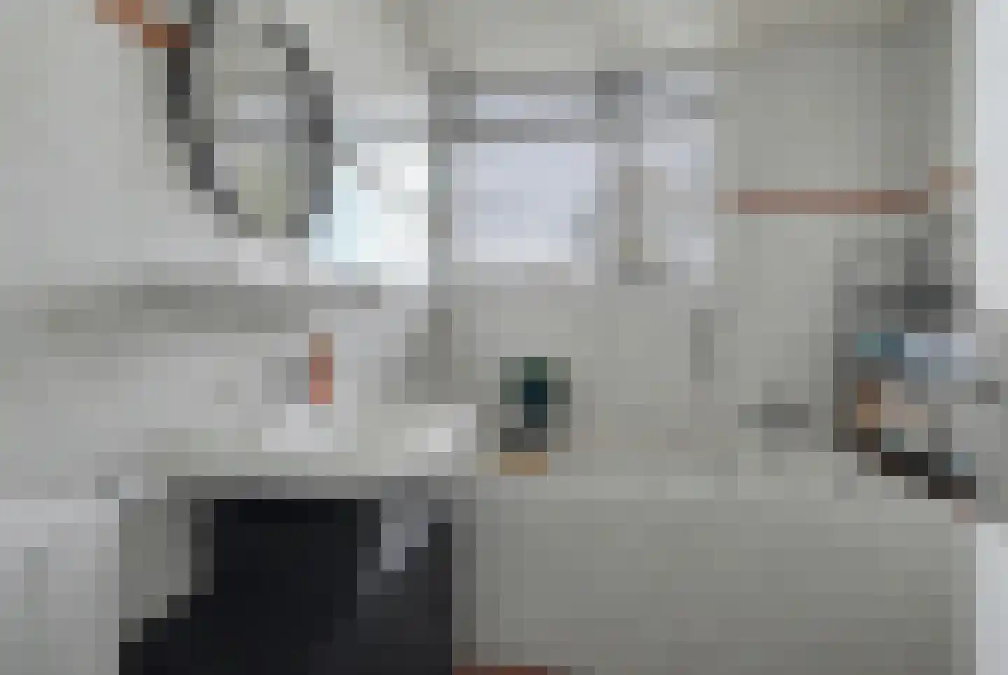 Jacob van Ruijsdaelstraat 3 Vlijmen thumbnail 18