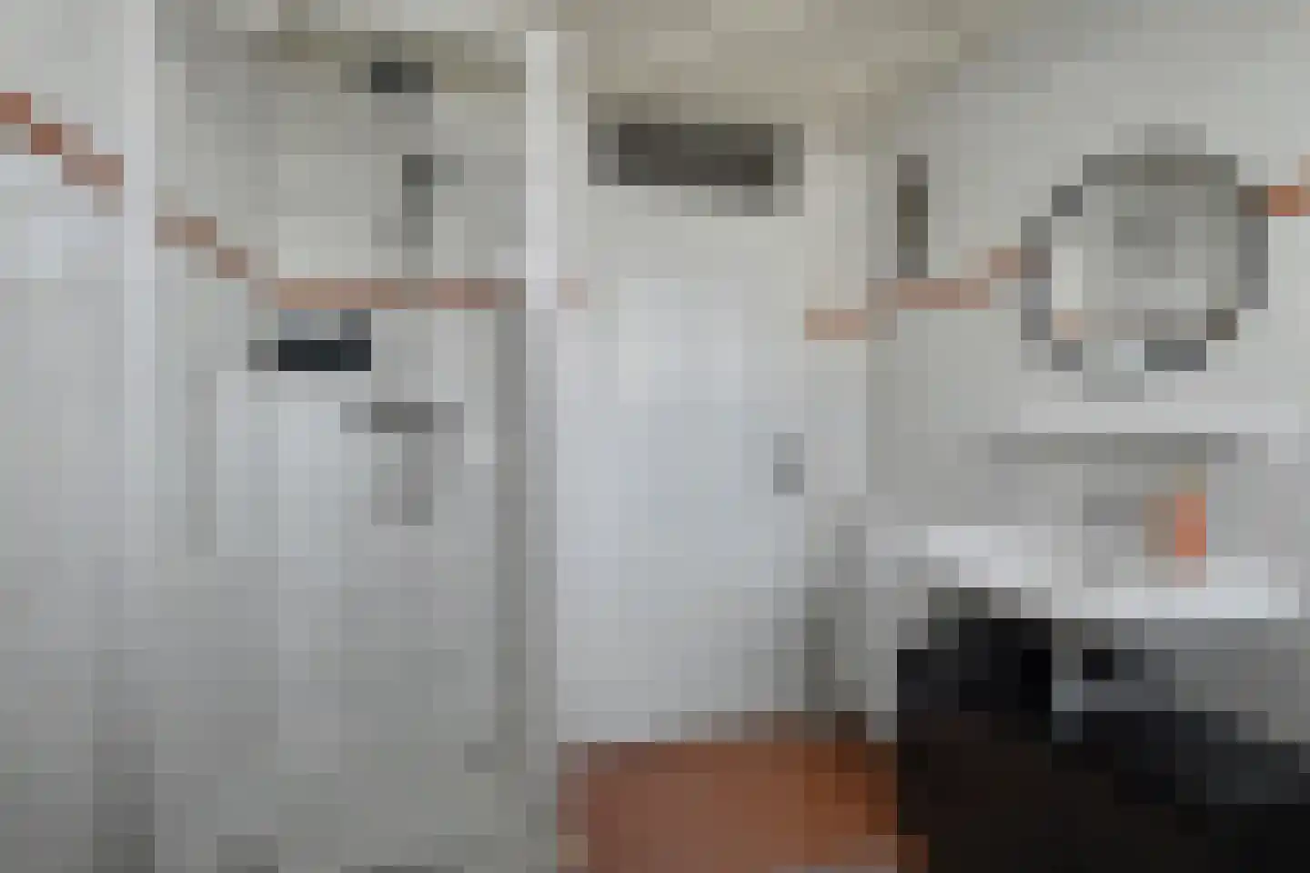 Jacob van Ruijsdaelstraat 3 Vlijmen thumbnail 19