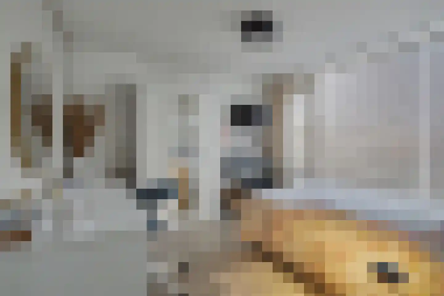 Jacob van Ruijsdaelstraat 3 Vlijmen thumbnail 20