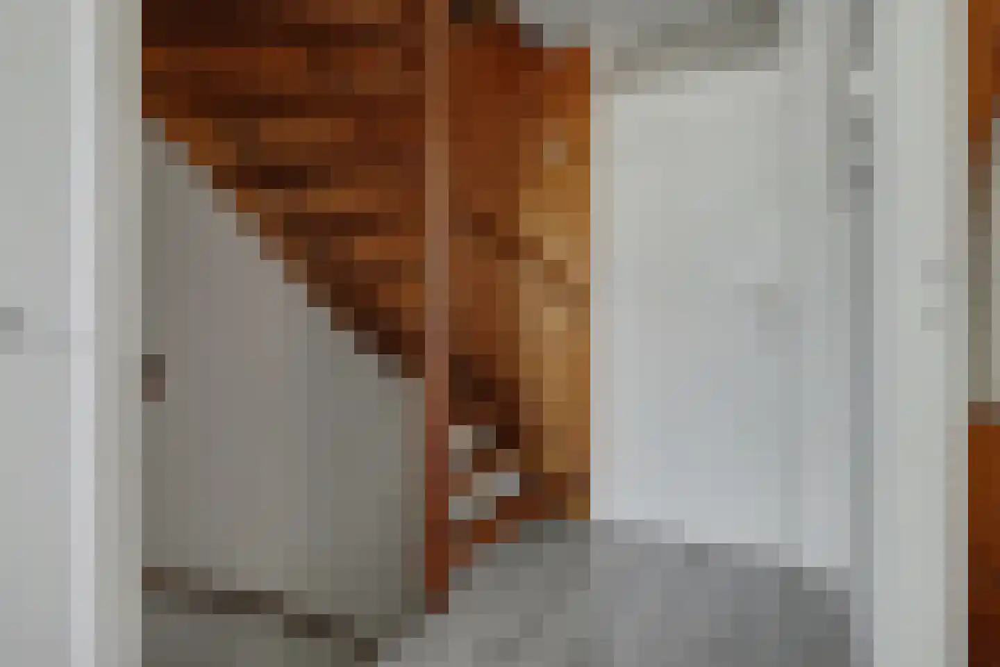 Jacob van Ruijsdaelstraat 3 Vlijmen thumbnail 22