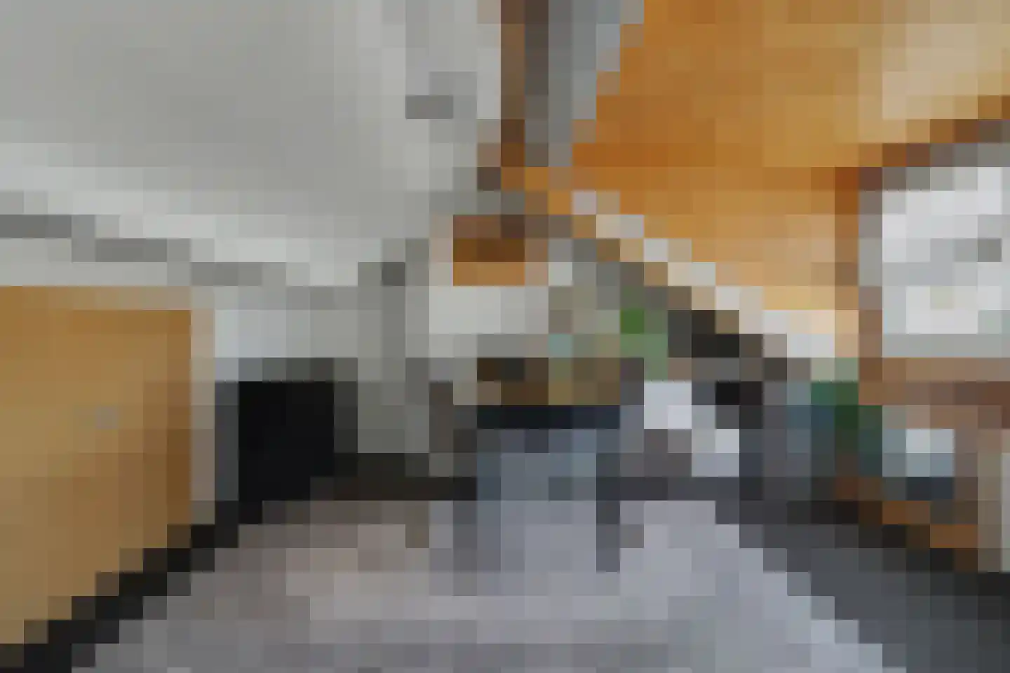 Jacob van Ruijsdaelstraat 3 Vlijmen thumbnail 24