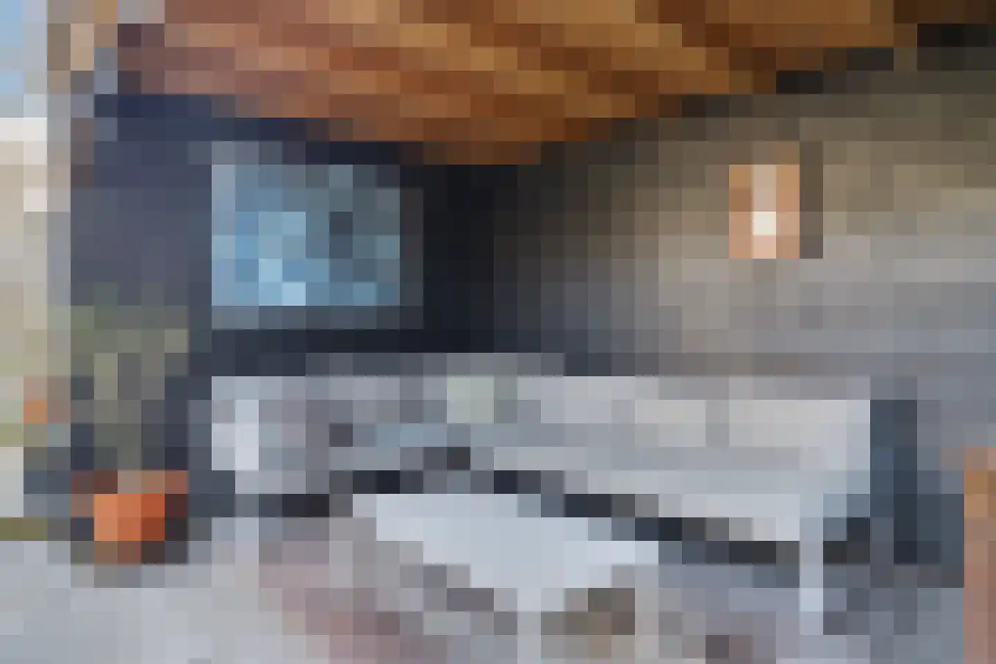 Jacob van Ruijsdaelstraat 3 Vlijmen thumbnail 28