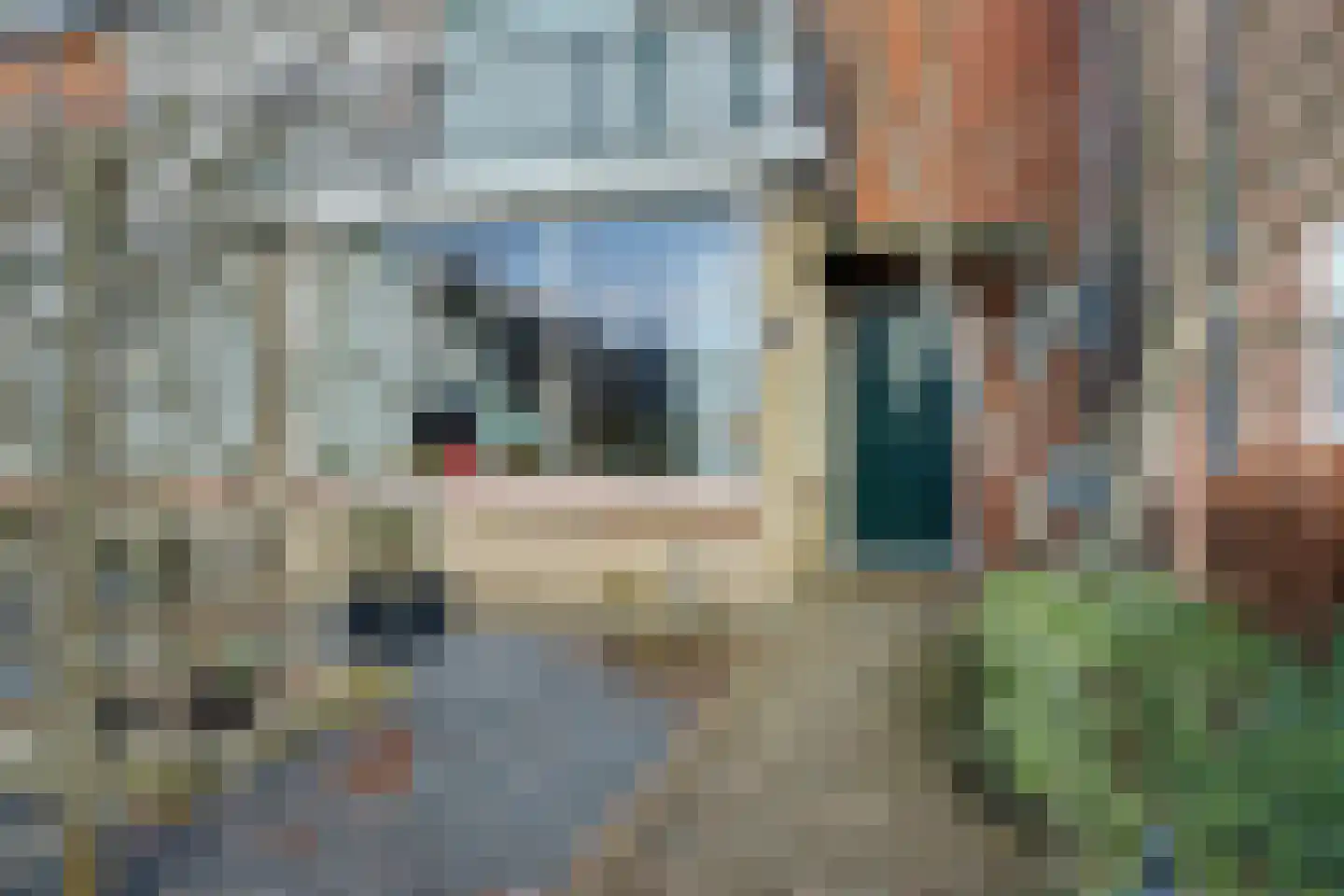 Jacob van Ruijsdaelstraat 3 Vlijmen thumbnail 36