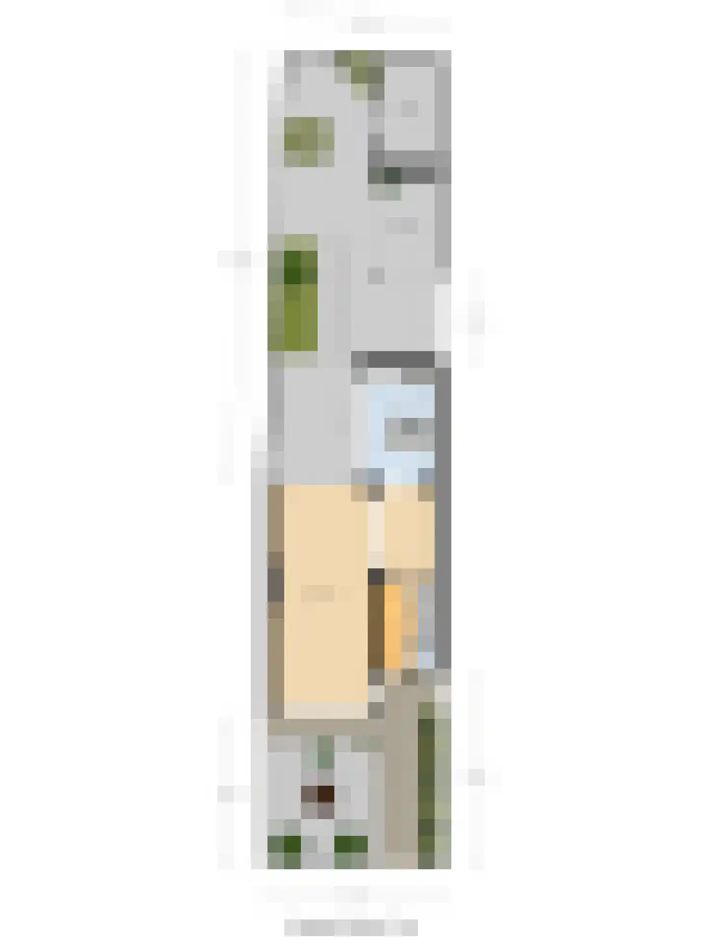 Jacob van Ruijsdaelstraat 3 Vlijmen thumbnail 44