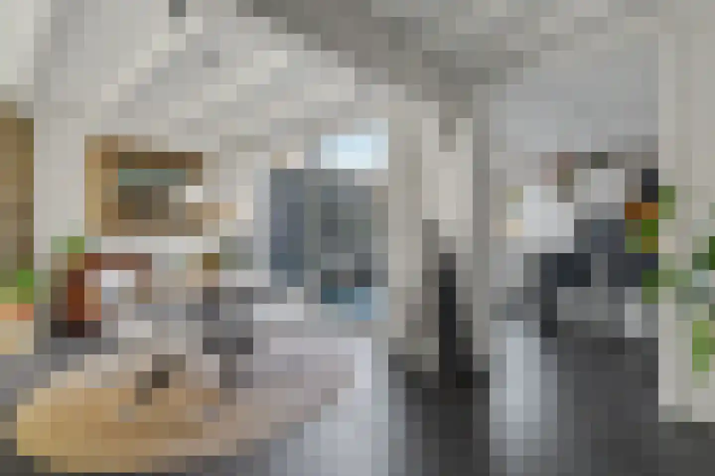 Jacob van Ruijsdaelstraat 3 Vlijmen thumbnail 8