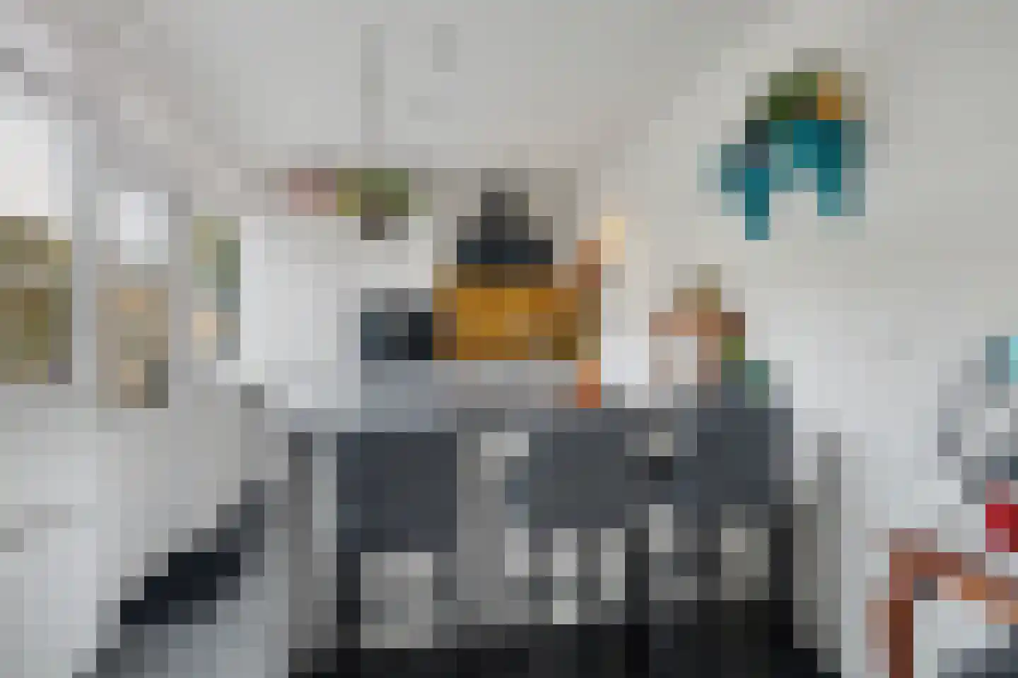 Jacob van Ruijsdaelstraat 3 Vlijmen thumbnail 9